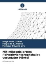 Mit mikronisiertem Polyethylenterephthalat versetzter Mörtel