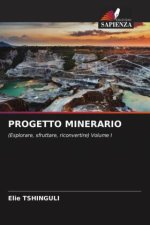 PROGETTO MINERARIO