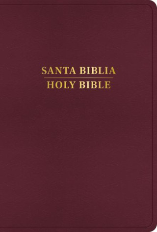 Rvr 1960/KJV Biblia Bilingüe Letra Grande, Borgo?a Imitación Piel, Con Índice (2024 Ed.) (Książka)