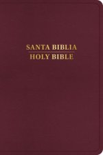 Rvr 1960/KJV Biblia Bilingüe, Borgo?a Imitación Piel (2024 Ed.)