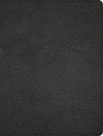 CSB Men of Character Bible, Revised and Updated, Black Genuine Leather