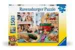 Ravensburger Kinderpuzzle - 12000865 Verspielte Welpen - 150 Teile XXL Puzzle für Kinder ab 7 Jahren