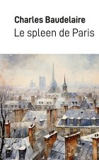 Le spleen de Paris