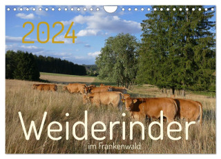 Weiderinder im Frankenwald (Wandkalender 2024 DIN A4 quer), CALVENDO Monatskalender