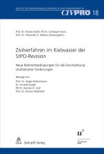 Zivilverfahren im Kielwasser der StPO-Revision