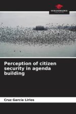 Perception of citizen security in agenda building