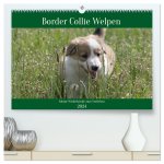 Border Collie Welpen - Kleine Wirbelwinde zum Verlieben (hochwertiger Premium Wandkalender 2024 DIN A2 quer), Kunstdruck in Hochglanz