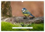 SINGVÖGEL - Die prächtigen Sänger in schönem Ambiente (Wandkalender 2024 DIN A3 quer), CALVENDO Monatskalender