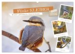 Flinke Kleiber (Wandkalender 2024 DIN A2 quer), CALVENDO Monatskalender