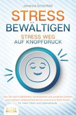 STRESS BEWÄLTIGEN - Stress weg auf Knopfdruck: Wie Sie durch Meditation, Achtsamkeit und positives Denken ganz einfach Gelassenheit lernen und innere