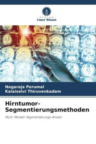 Hirntumor-Segmentierungsmethoden