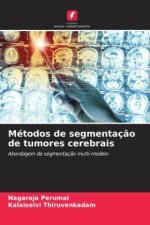 Métodos de segmentaç?o de tumores cerebrais