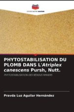 PHYTOSTABILISATION DU PLOMB DANS L'Atriplex canescens Pursh, Nutt.