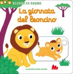 giornata del leoncino. Scorri le storie