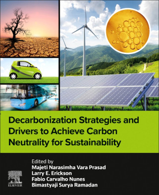 Decarbonization Strategies and Drivers to Achieve Carbon Neutrality for Sustainability