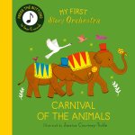MY FIRST STORY ORCHESTRA CARNIVAL OF THE