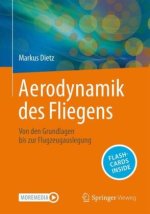 Aerodynamik des Fliegens, m. 1 Buch, m. 1 E-Book