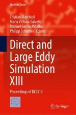 Direct and Large Eddy Simulation XIII