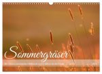 Sommergräser (Wandkalender 2024 DIN A3 quer), CALVENDO Monatskalender
