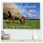Coburger Fuchsschaf (hochwertiger Premium Wandkalender 2024 DIN A2 quer), Kunstdruck in Hochglanz