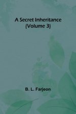 A Secret Inheritance (Volume 3)