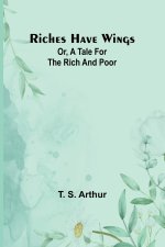 Riches have wings; Or, A tale for the rich and poor