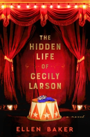 The Hidden Life of Cecily Larson (Brožovaná)