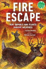 Fire Escape: How Animals and Plants Survive Wildfires