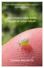 This Is How a Robin Drinks: And Other Essays on Urban Nature