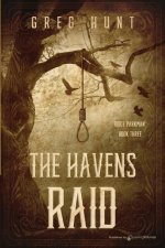 The Havens Raid