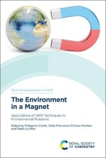 The Environment in a Magnet: Applications of NMR Techniques to Environmental Problems