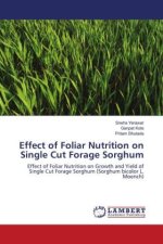 Effect of Foliar Nutrition on Single Cut Forage Sorghum