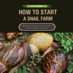 How To Start A Snail Farm ( A beginner guide to African Giant Land Snails)