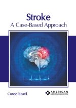 Stroke: A Case-Based Approach
