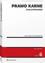 Prawo karne Zarys problematyki