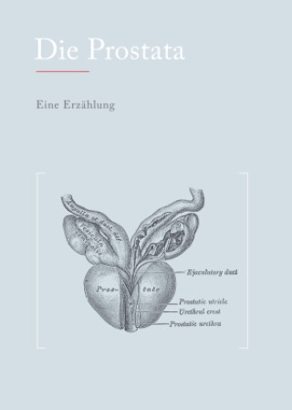 Die Prostata