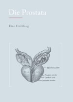 Die Prostata
