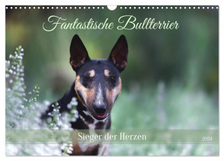 Fantastische Bullterrier - Sieger im Herzen (Wandkalender 2024 DIN A3 quer), CALVENDO Monatskalender