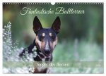 Fantastische Bullterrier - Sieger im Herzen (Wandkalender 2024 DIN A3 quer), CALVENDO Monatskalender