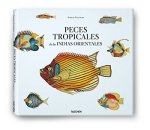 PEIXES TROPICAIS DAS INDIAS ORIENTAIS