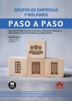 Paso a paso. Grupos de empresas y holdings