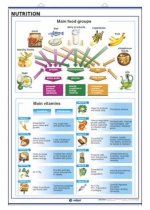 NUTRITION THE HUMAN BODY