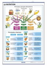 LA NUTRITION LE CORPS HUMAIN