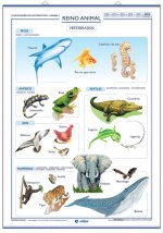 INVERTEBRADOS ; VERTEBRADOS