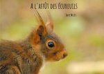 A l'aff?t des écureuils