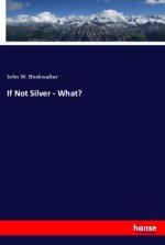 If Not Silver - What?
