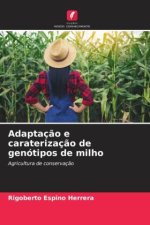 Adaptaç?o e caraterizaç?o de genótipos de milho