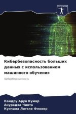 Kiberbezopasnost' bol'shih dannyh s ispol'zowaniem mashinnogo obucheniq
