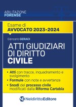 Atti giudiziari di diritto civile