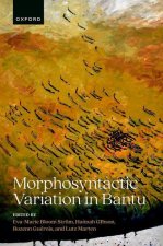 Morphosyntactic Variation in Bantu (Hardback)